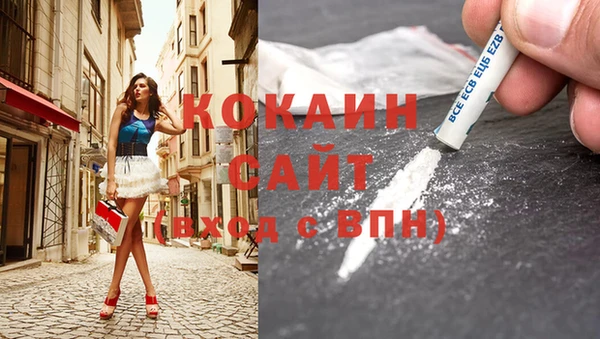 кокс Баксан