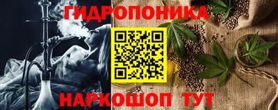 шишки Пыть-Ях