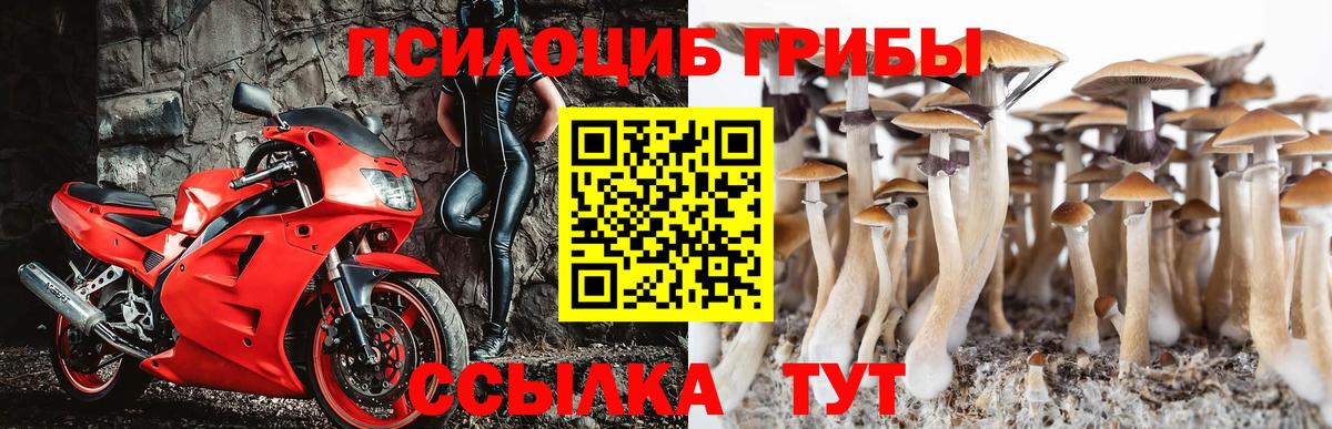 Сыктывкар  Псилоцибиновые грибы прущие грибы  Вход с VPN 