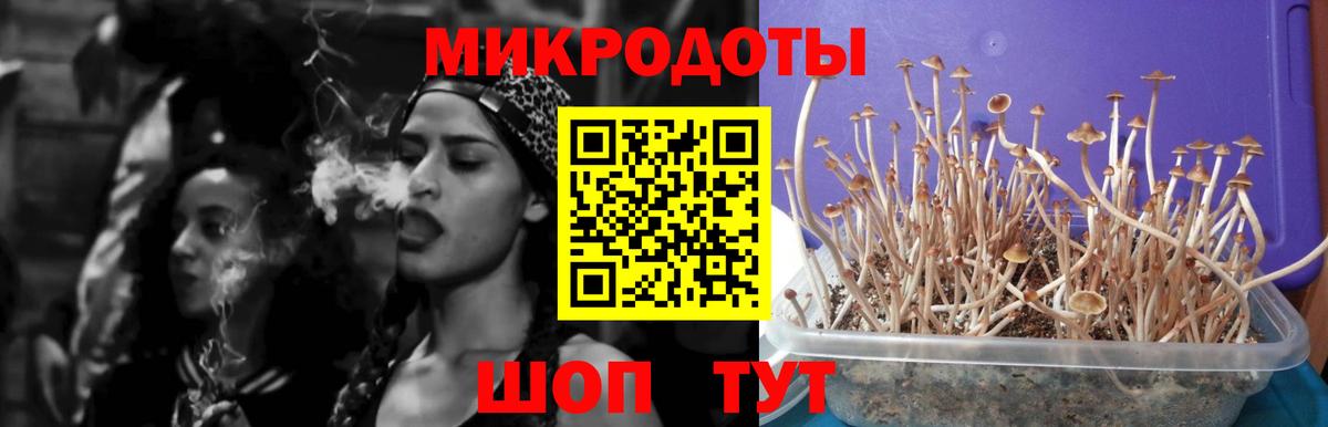 Псилоцибиновые грибы мухоморы Сыктывкар